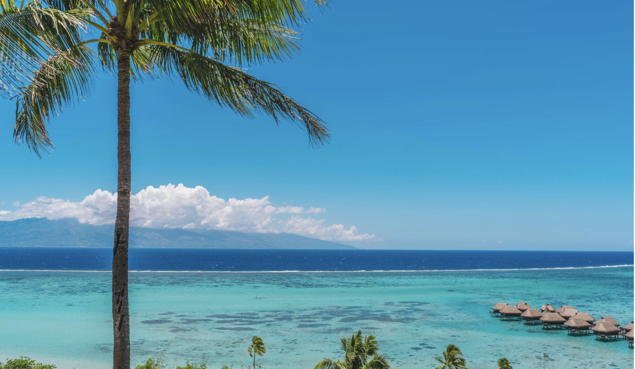 how to plan a trip to moorea island